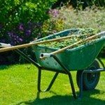 Cómo llevar a cabo la limpieza de los jardines