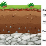 ilustración capas del suelo